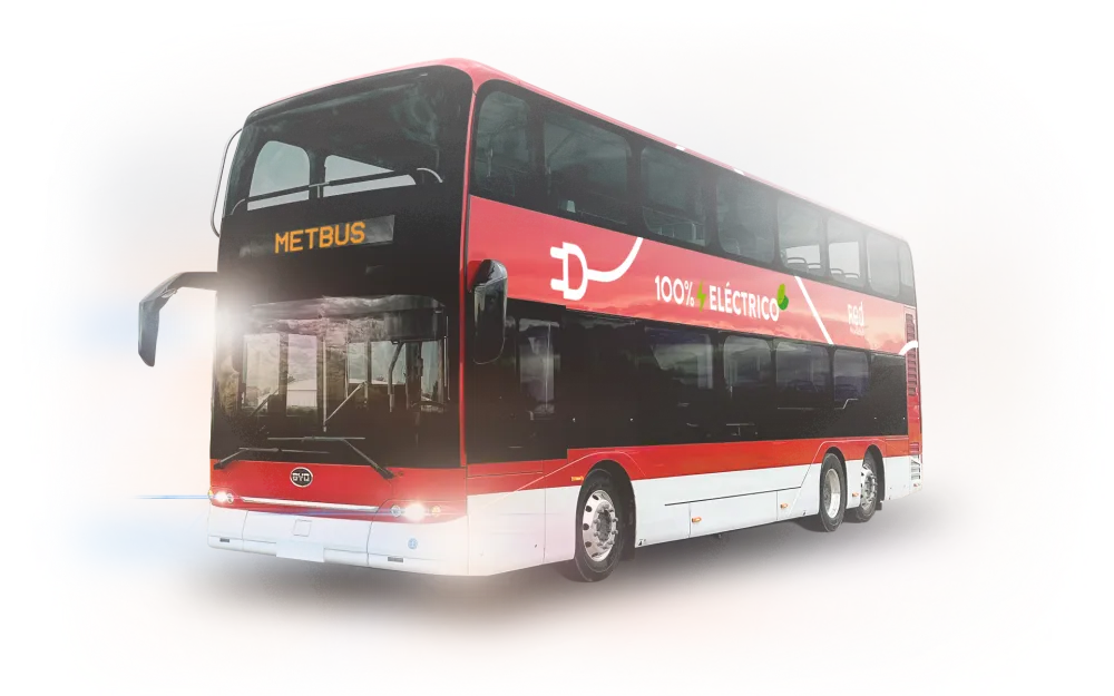 Ilustración de ruta y buses
